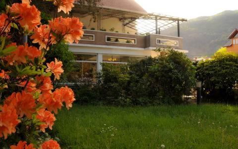 Hotel Crismalu ซาน มาร์ติง เด ลอส อันเดส ภายนอก รูปภาพ